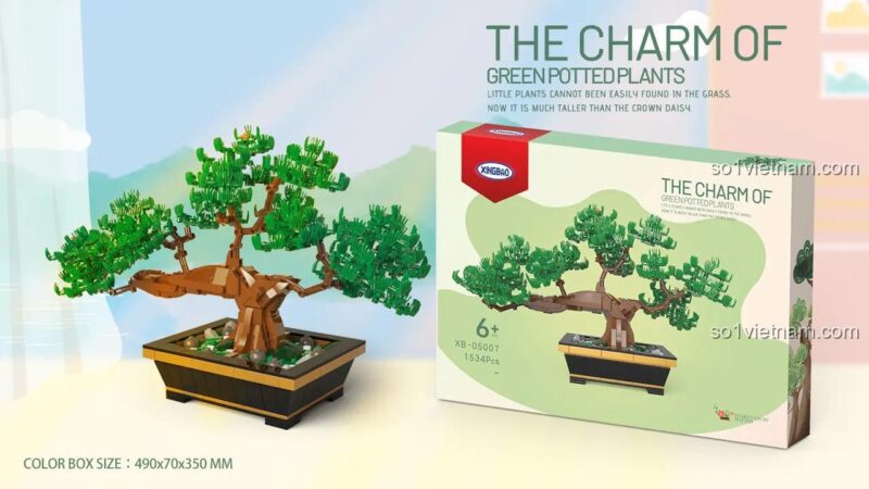 Hộp sản phẩm và mô hình chậu cây xanh Xingbao XB-05007